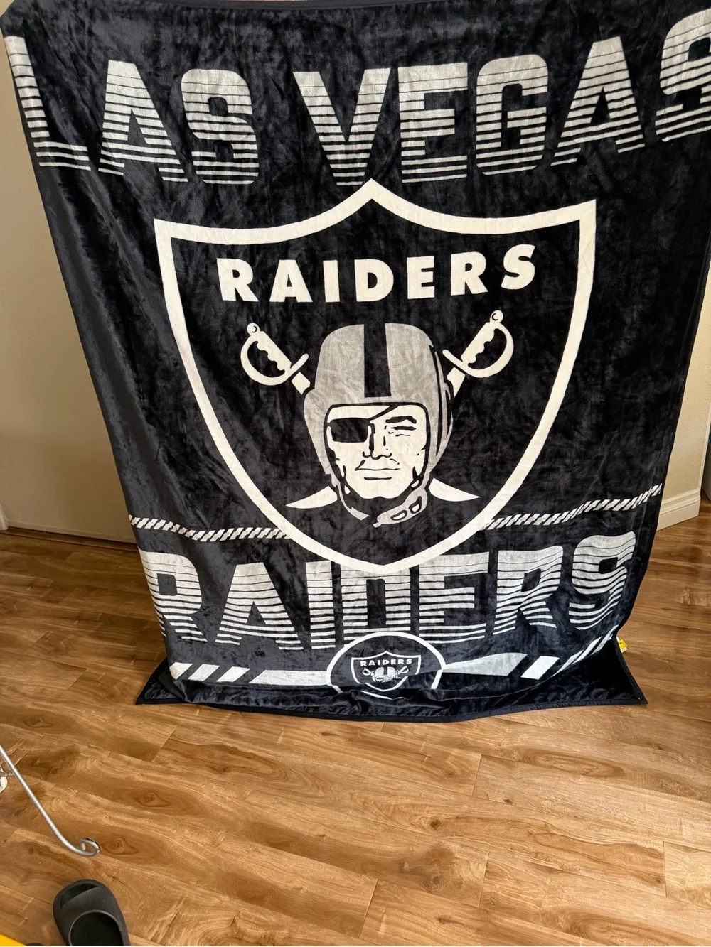 Las Vegas Raiders Black & White Plush Throw Blanket